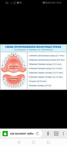 Вопрос про зубы и как не застрелиться?