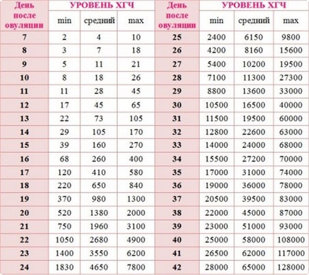 Как определить правильно срок
