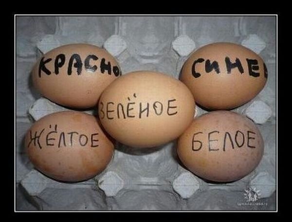Мои яйца?