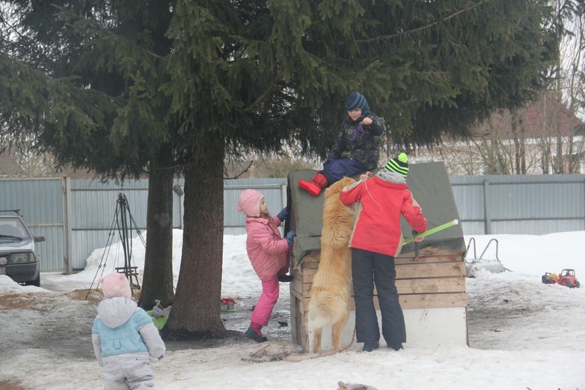 многофотопост