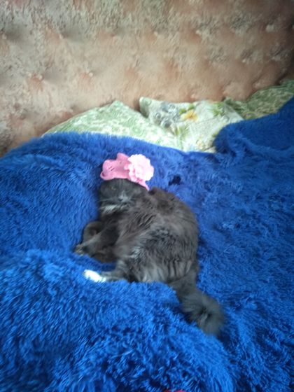 Ситуация не из приятных!Переехали