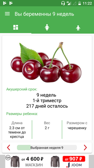 9 недель