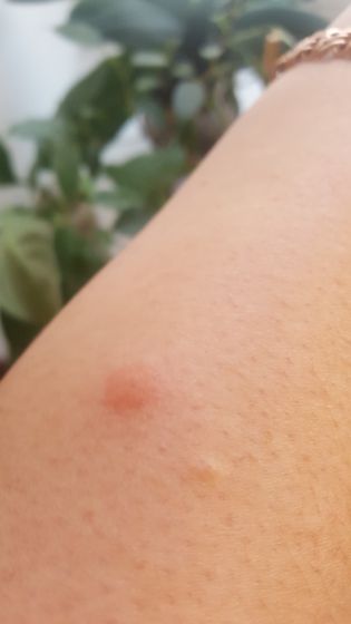 Девочки в командировке появились