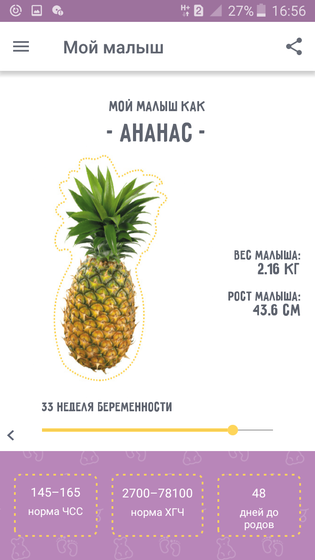 33 недели
