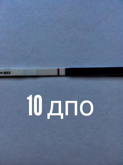 11 ДПО тест не поярчал