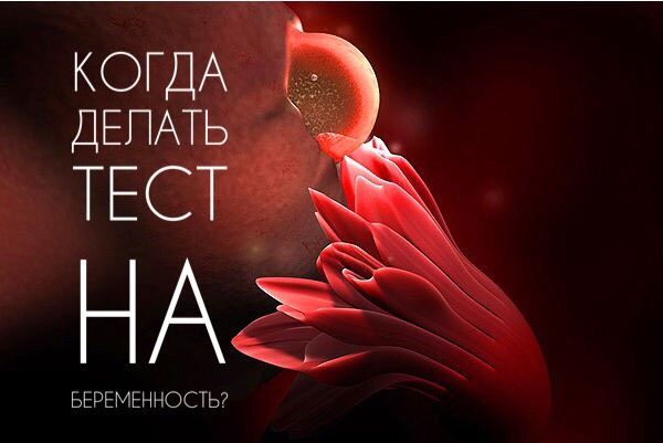 Когда же делать тест на беременность? ???