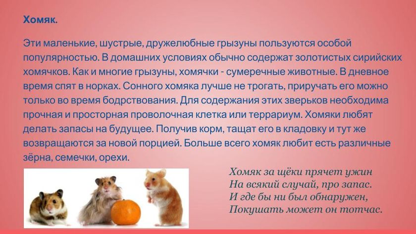 Презентация