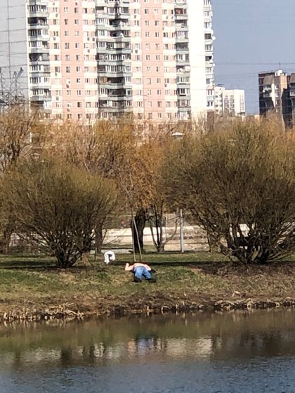 Прикол ?