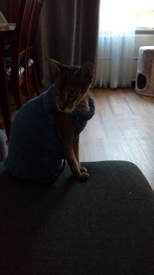 На сон грядущий...