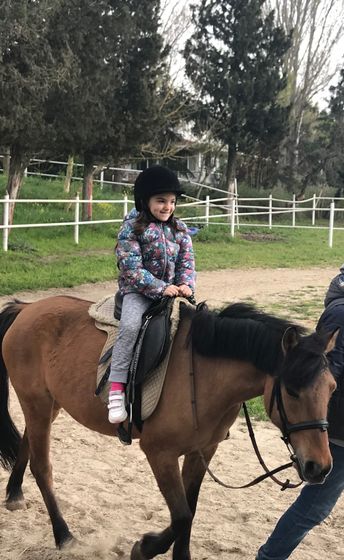 Лошадки 🐴😍🙏
