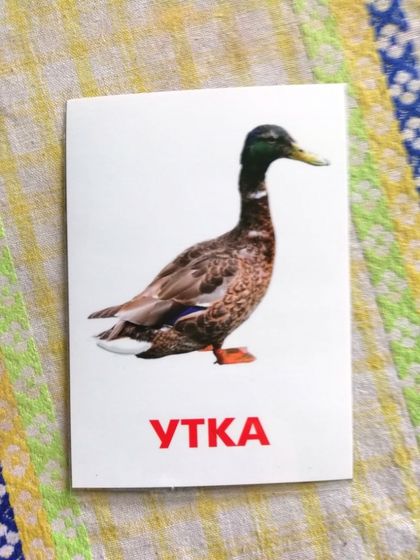 Ламинирование дома, утюгом