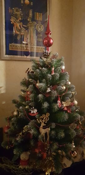 Вот и мы нарядили елку😊