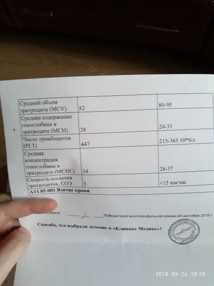 Повышены тромбоциты в крови.