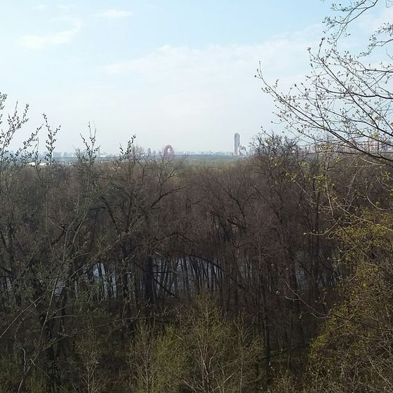Сегодня был прекрасный день)