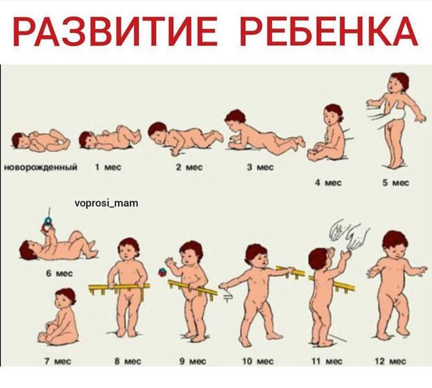 Так во сколько дети начинают сидеть?
