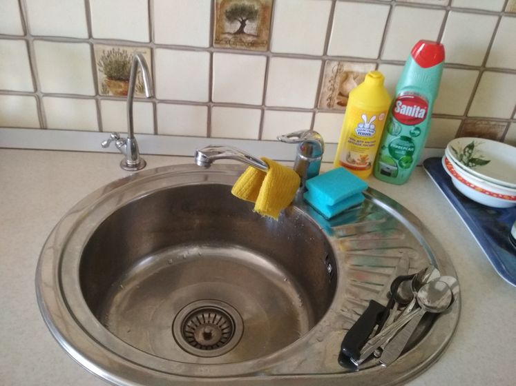 Неродивая домохозяйка поневоле