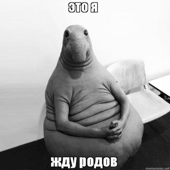 Ожидание