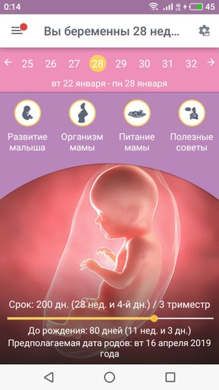 200 дней беременности