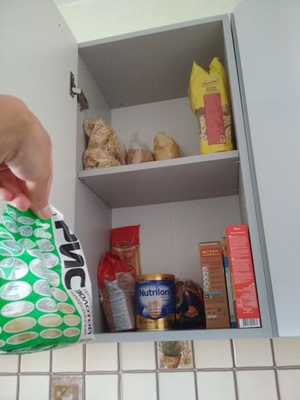 Неродивая домохозяйка поневоле