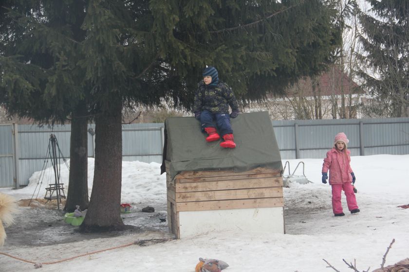 многофотопост