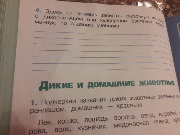 уроки помогите девочки
