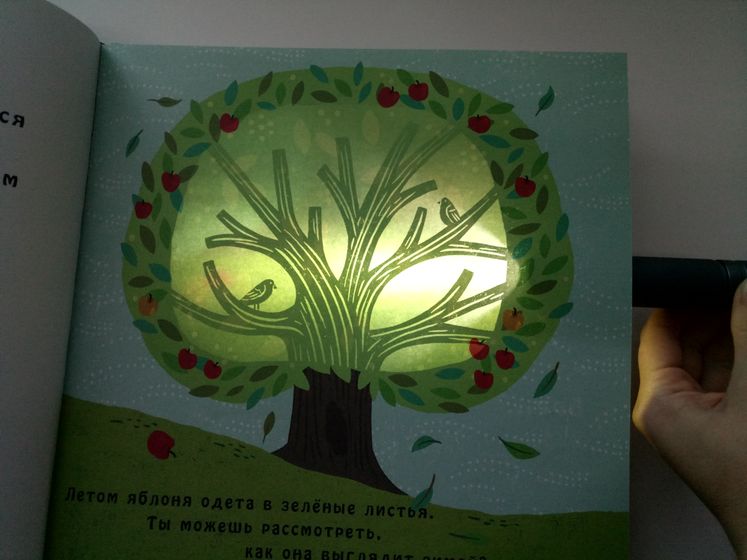 5 волшебных книг, которые...