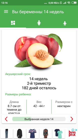 Вот и второй триместр