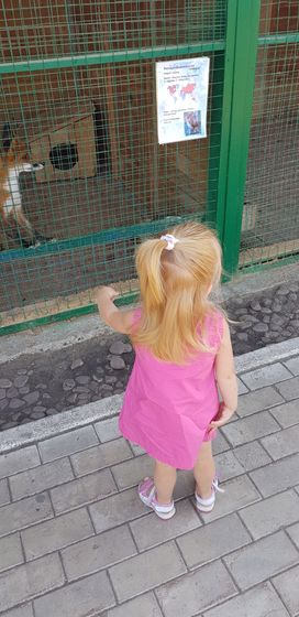 Активные денёчеки и наши достижения в 2,2 года!