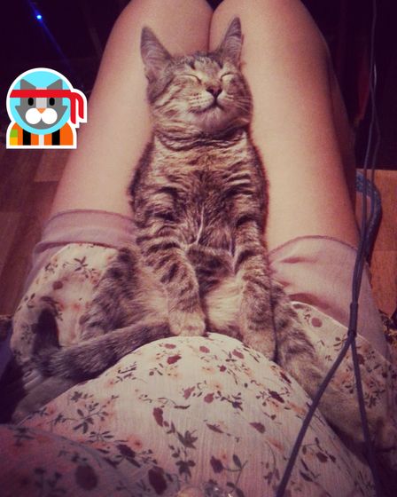 Наш котик оказался большиииим счастливчиком)