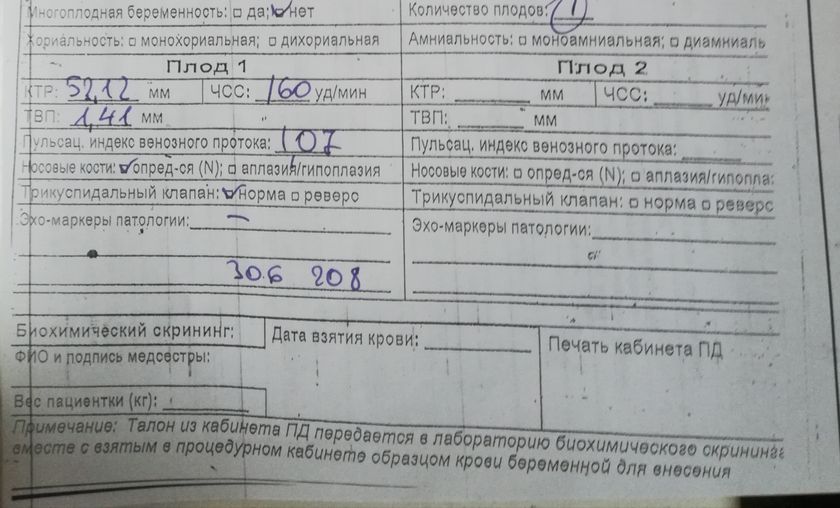 Первый скрининг (нужна расшифровка)