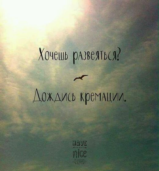 Целый день живу с