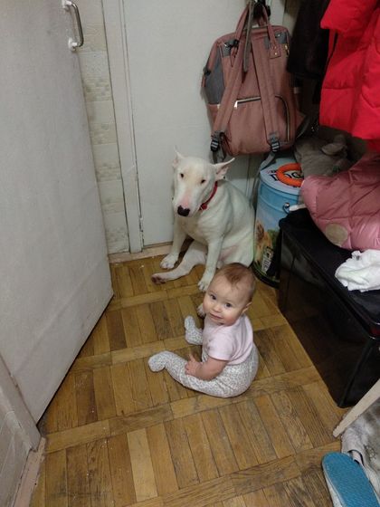 Пол и ползающий человек