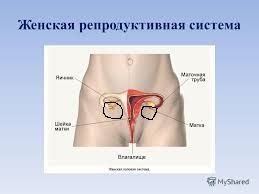 Тянущие боль