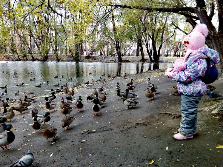 Наши многодетные новости. Много букв