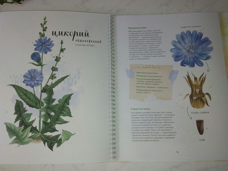 Книги юного ботаника.