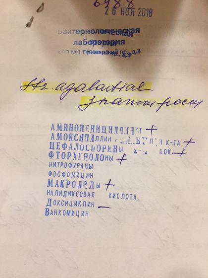Пришёл мой посев , там что-то нашли