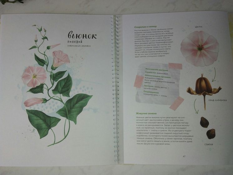 Книги юного ботаника.