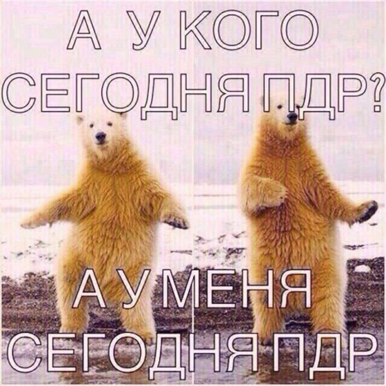 КТГ кто разбирается
