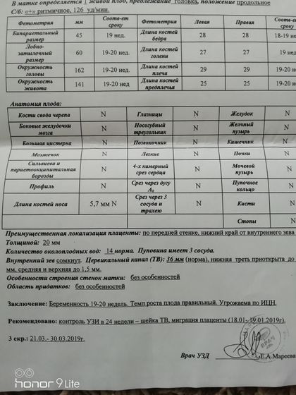 Запись 1.Первая беременность. ИЦН и прочие 