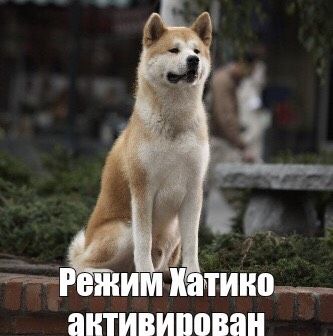 ?Внимание внимание!?