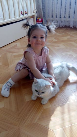 ???Год и четыре месяца???