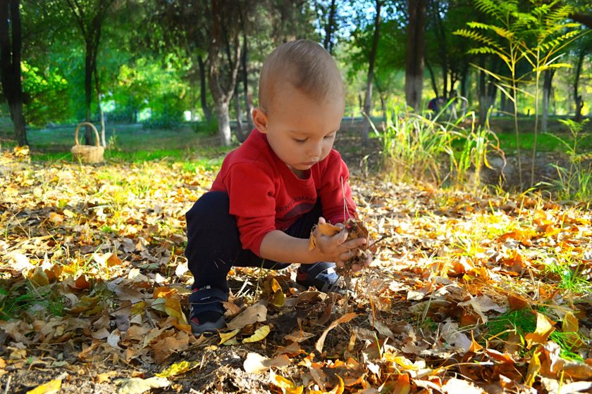 Немного нашей зеленой осени 🍂🍂🍂