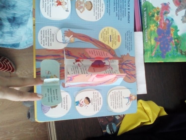 Книжка