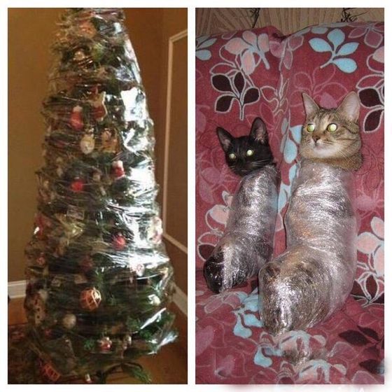 Кот на новый год🐈🌲❄️