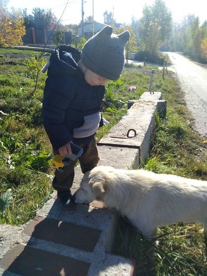 Конкурс