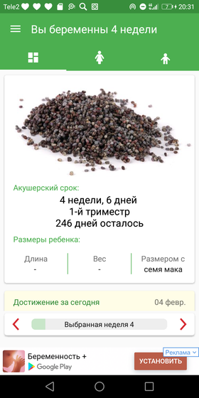 Фотография 2019-02-04 20:33:34