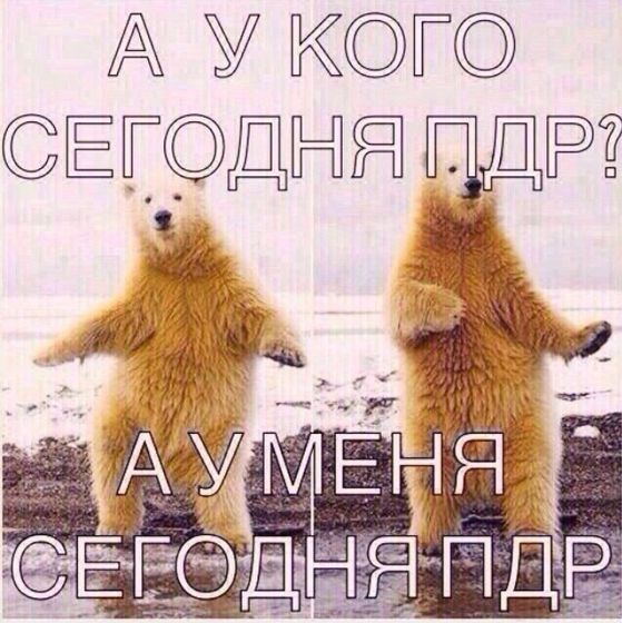 Пдр?