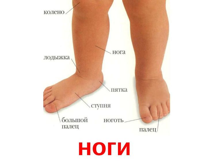 Хруст не унимается , не могу спать........