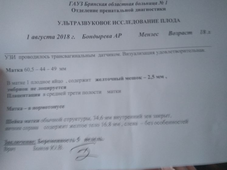 5 неделек