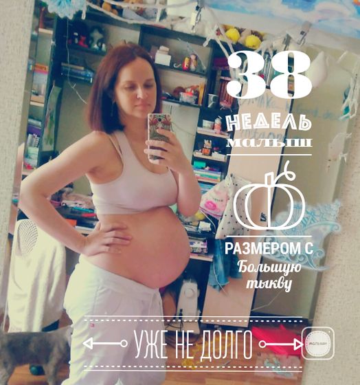 Мои 38 недель ♥